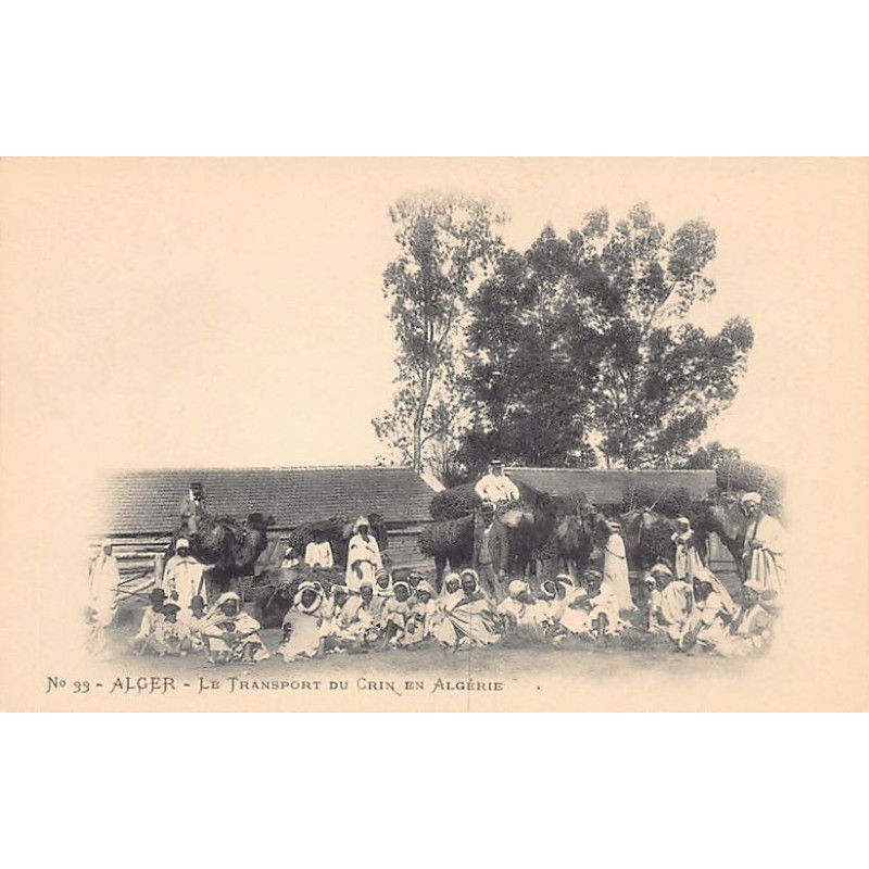 Rare collectable postcards of ALGERIA Algérie. Vintage Postcards of ALGERIA Algérie