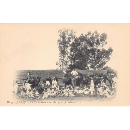 Rare collectable postcards of ALGERIA Algérie. Vintage Postcards of ALGERIA Algérie