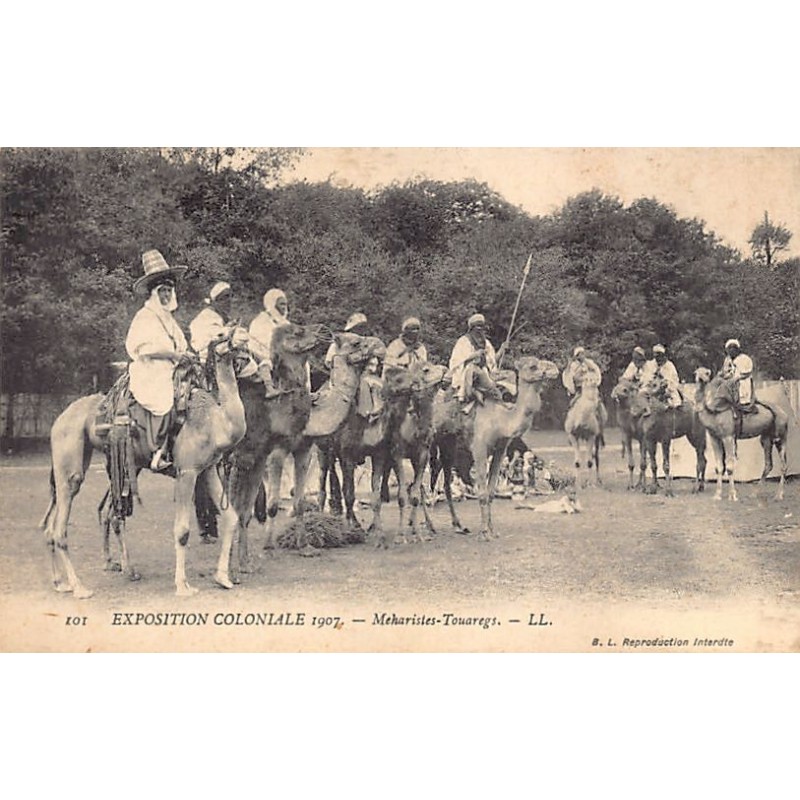 Rare collectable postcards of ALGERIA Algérie. Vintage Postcards of ALGERIA Algérie