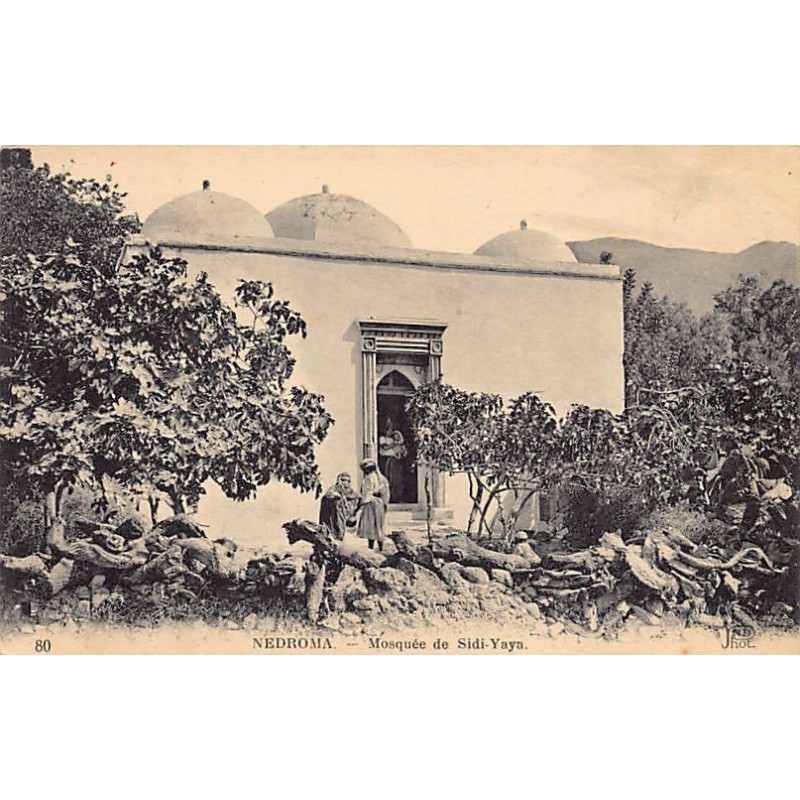 Rare collectable postcards of ALGERIA Algérie. Vintage Postcards of ALGERIA Algérie