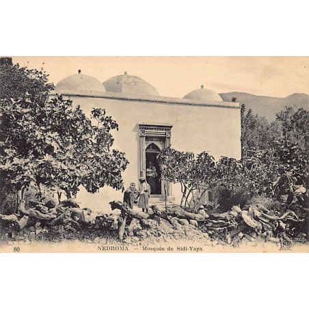 Rare collectable postcards of ALGERIA Algérie. Vintage Postcards of ALGERIA Algérie