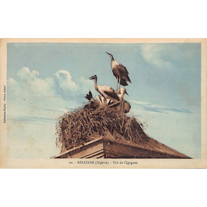 Rare collectable postcards of ALGERIA Algérie. Vintage Postcards of ALGERIA Algérie