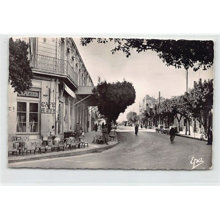 Rare collectable postcards of ALGERIA Algérie. Vintage Postcards of ALGERIA Algérie