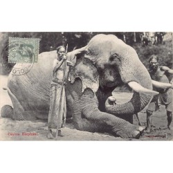 Rare collectable postcards of SRI LANKA. Vintage Postcards of SRI LANKA