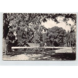 Rare collectable postcards of ALGERIA Algérie. Vintage Postcards of ALGERIA Algérie
