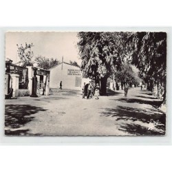 Rare collectable postcards of ALGERIA Algérie. Vintage Postcards of ALGERIA Algérie