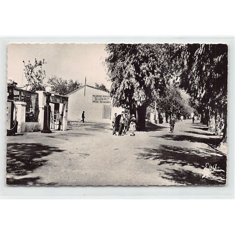 Rare collectable postcards of ALGERIA Algérie. Vintage Postcards of ALGERIA Algérie