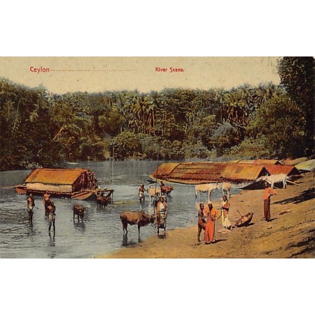 Rare collectable postcards of SRI LANKA. Vintage Postcards of SRI LANKA