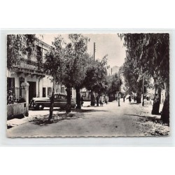 Rare collectable postcards of ALGERIA Algérie. Vintage Postcards of ALGERIA Algérie