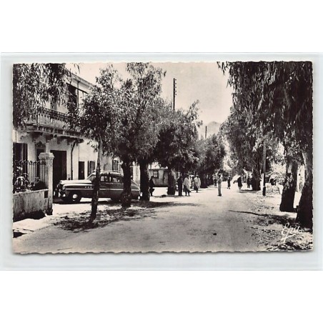 Rare collectable postcards of ALGERIA Algérie. Vintage Postcards of ALGERIA Algérie