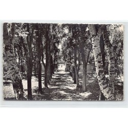 Rare collectable postcards of ALGERIA Algérie. Vintage Postcards of ALGERIA Algérie