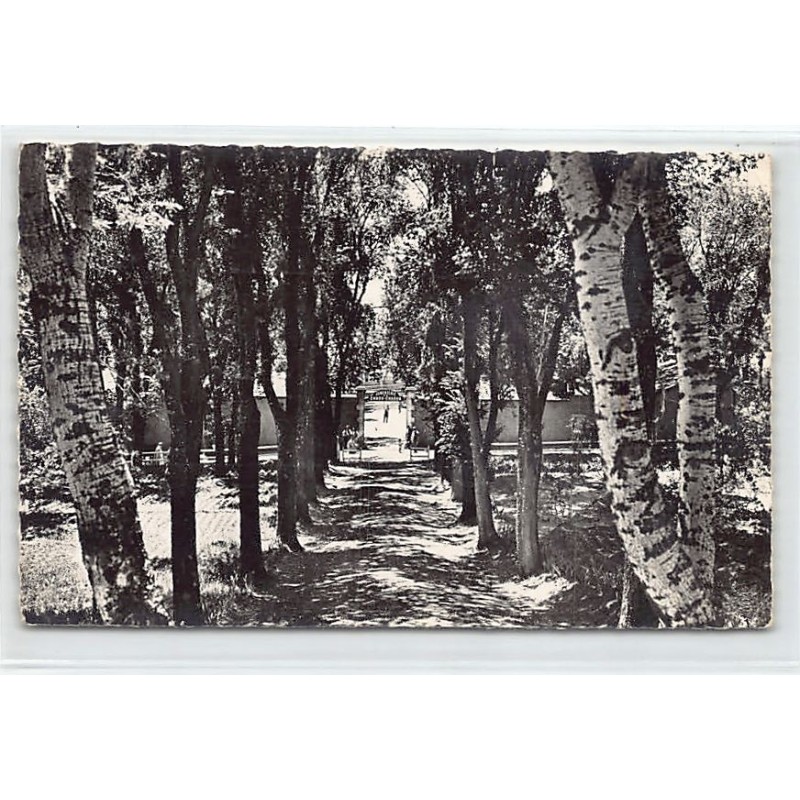 Rare collectable postcards of ALGERIA Algérie. Vintage Postcards of ALGERIA Algérie