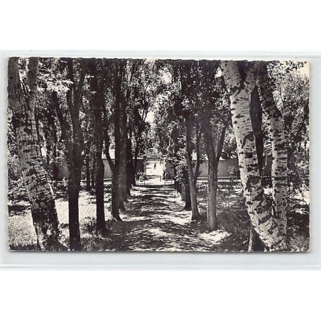 Rare collectable postcards of ALGERIA Algérie. Vintage Postcards of ALGERIA Algérie