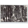 Rare collectable postcards of ALGERIA Algérie. Vintage Postcards of ALGERIA Algérie