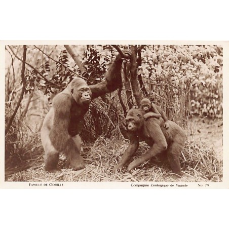 Rare collectable postcards of CAMEROON. Vintage Postcards of CAMEROON