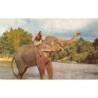 Rare collectable postcards of SRI LANKA. Vintage Postcards of SRI LANKA