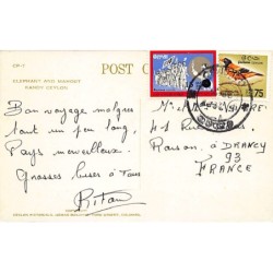 Rare collectable postcards of SRI LANKA. Vintage Postcards of SRI LANKA