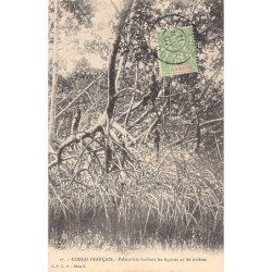 Rare collectable postcards of CONGO BRAZZAVILLE. Vintage Postcards of CONGO BRAZZAVILLE