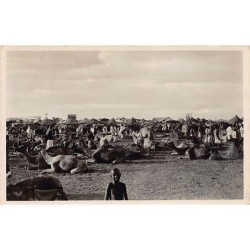 Rare collectable postcards of DJIBOUTI. Vintage Postcards of DJIBOUTI