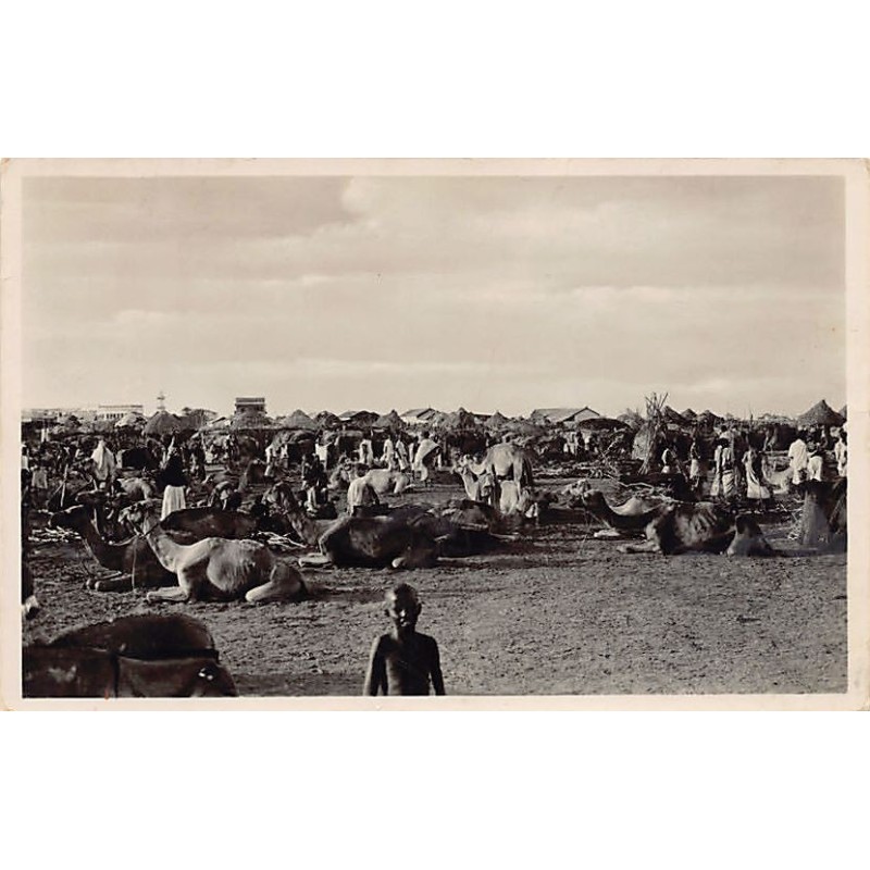 Rare collectable postcards of DJIBOUTI. Vintage Postcards of DJIBOUTI