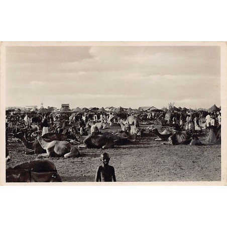 Rare collectable postcards of DJIBOUTI. Vintage Postcards of DJIBOUTI