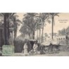 Rare collectable postcards of EGYPT. Vintage Postcards of EGYPT