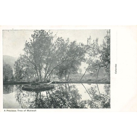 Rare collectable postcards of SRI LANKA. Vintage Postcards of SRI LANKA