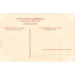 Rare collectable postcards of SRI LANKA. Vintage Postcards of SRI LANKA