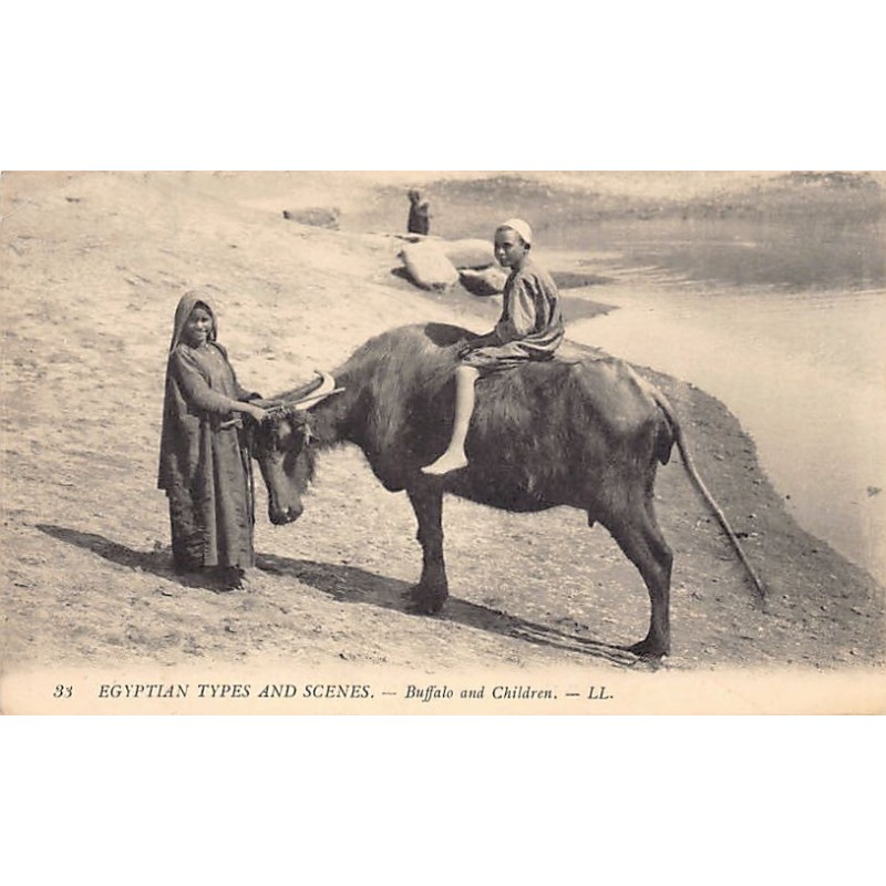 Rare collectable postcards of EGYPT. Vintage Postcards of EGYPT