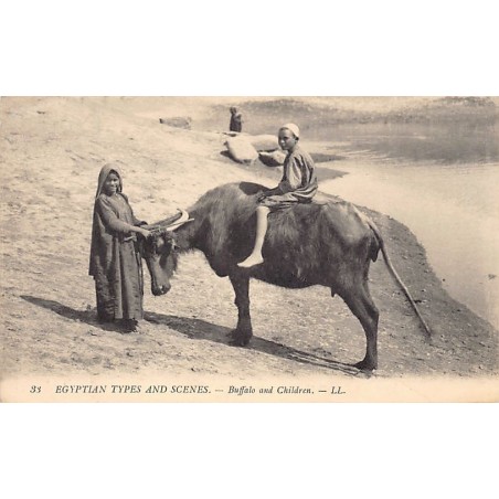 Rare collectable postcards of EGYPT. Vintage Postcards of EGYPT