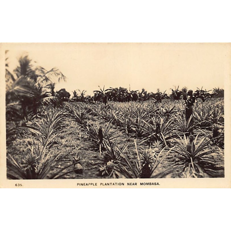 Rare collectable postcards of KENYA. Vintage Postcards of KENYA