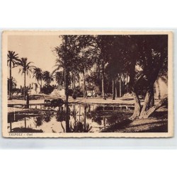 Rare collectable postcards of LIBYA. Vintage Postcards of LIBYA