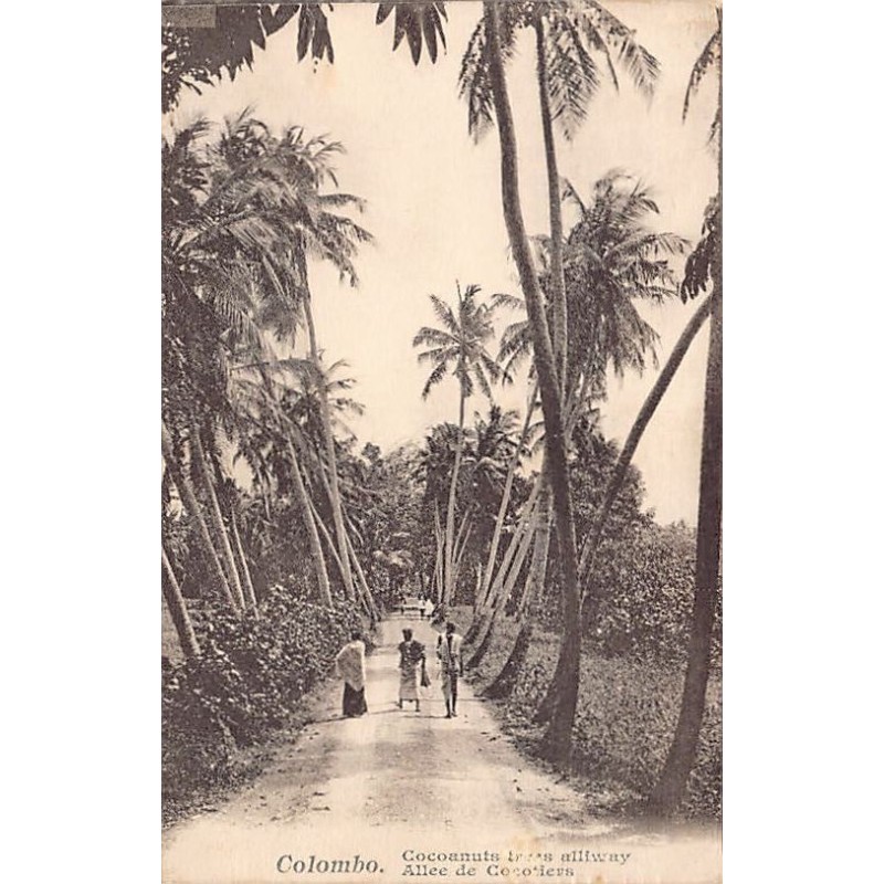Rare collectable postcards of SRI LANKA. Vintage Postcards of SRI LANKA