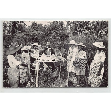 Rare collectable postcards of ALGERIA. Vintage Postcards of ALGERIA