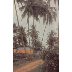 Rare collectable postcards of SRI LANKA. Vintage Postcards of SRI LANKA