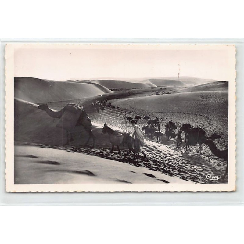 Rare collectable postcards of ALGERIA. Vintage Postcards of ALGERIA