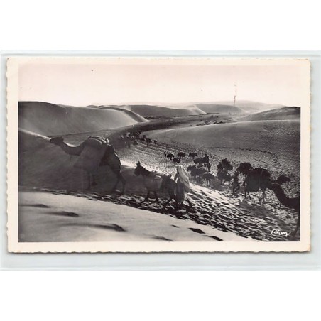 Rare collectable postcards of ALGERIA. Vintage Postcards of ALGERIA