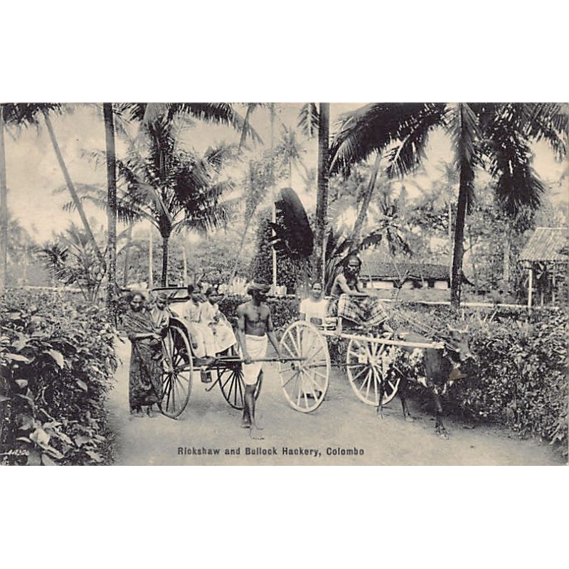 Rare collectable postcards of SRI LANKA. Vintage Postcards of SRI LANKA