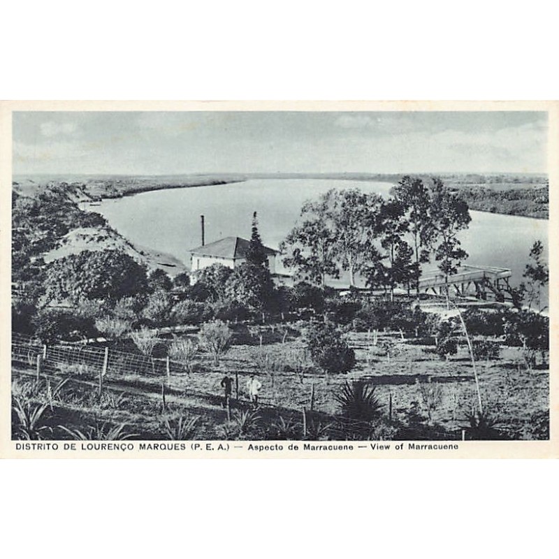 Rare collectable postcards of MOZAMBIQUE. Vintage Postcards of MOZAMBIQUE