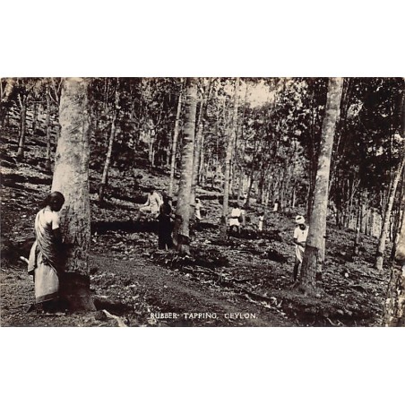 Rare collectable postcards of SRI LANKA. Vintage Postcards of SRI LANKA