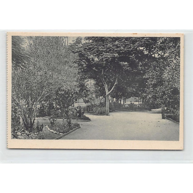 Rare collectable postcards of MOZAMBIQUE. Vintage Postcards of MOZAMBIQUE