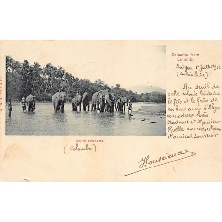 Rare collectable postcards of SRI LANKA. Vintage Postcards of SRI LANKA