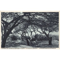 Rare collectable postcards of MOZAMBIQUE. Vintage Postcards of MOZAMBIQUE