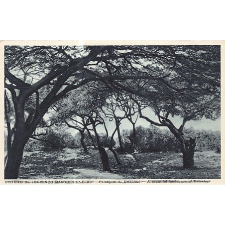 Rare collectable postcards of MOZAMBIQUE. Vintage Postcards of MOZAMBIQUE