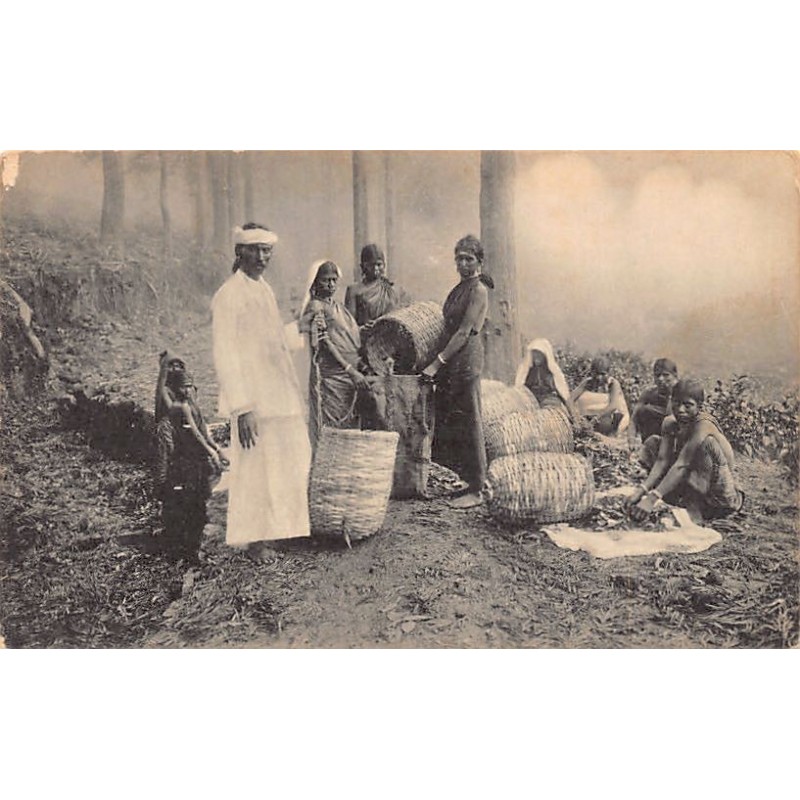 Rare collectable postcards of SRI LANKA. Vintage Postcards of SRI LANKA