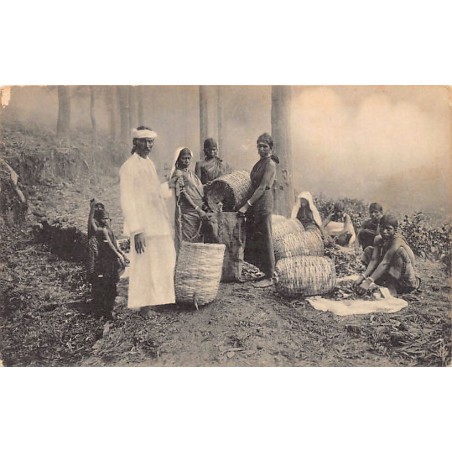 Rare collectable postcards of SRI LANKA. Vintage Postcards of SRI LANKA