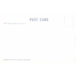 Rare collectable postcards of SRI LANKA. Vintage Postcards of SRI LANKA