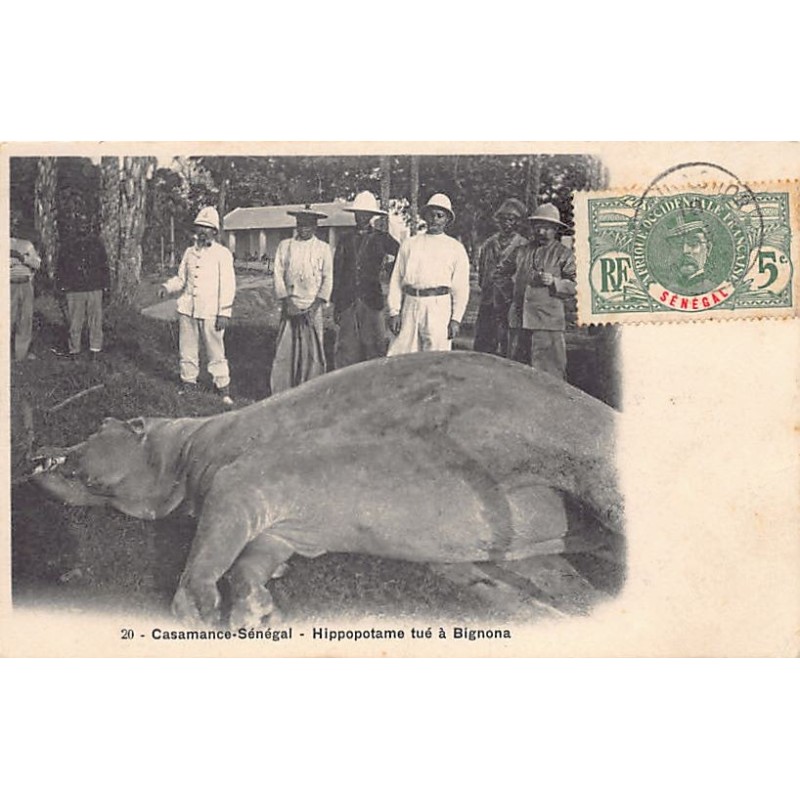 Rare collectable postcards of SENEGAL. Vintage Postcards of SENEGAL