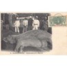 Rare collectable postcards of SENEGAL. Vintage Postcards of SENEGAL