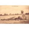 Rare collectable postcards of SENEGAL. Vintage Postcards of SENEGAL